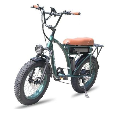 23AH ظرفیت باتری 1000W 2000W موتور 20 اینچ چاق دوچرخه برقی دوچرخه سفارشی پشتیبانی