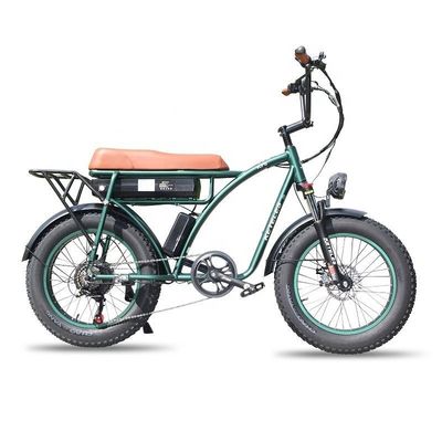 23AH ظرفیت باتری 1000W 2000W موتور 20 اینچ چاق دوچرخه برقی دوچرخه سفارشی پشتیبانی